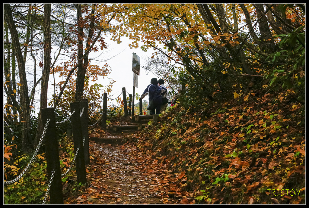 _H1A0434.jpg - 20171103 日本只見線、會津若松五色沼、昭和記念公園賞紅葉