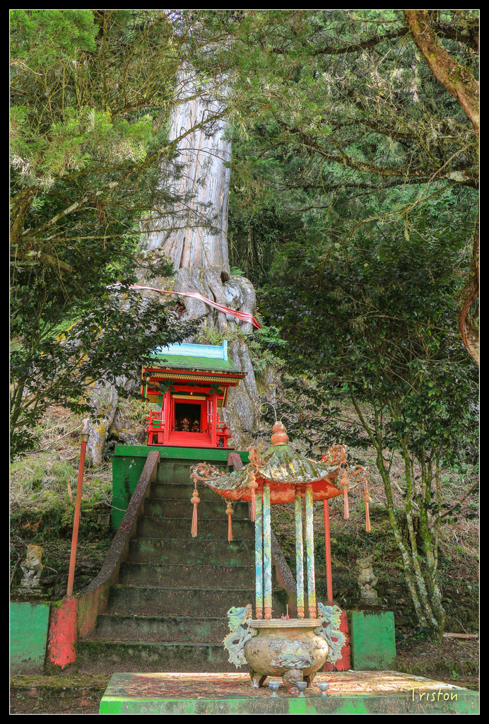 IMG_8589.jpg - 20151017 郡大林道、望鄉山、郡大山