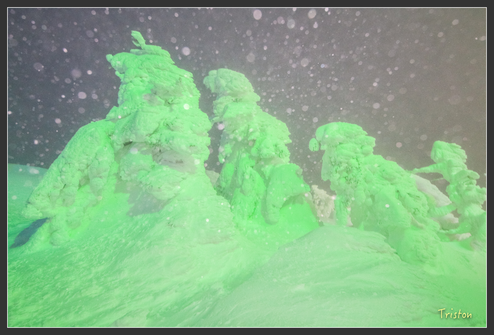 2016ZAO-00935.jpg - 20160131 日本藏王溫泉滑雪親子行