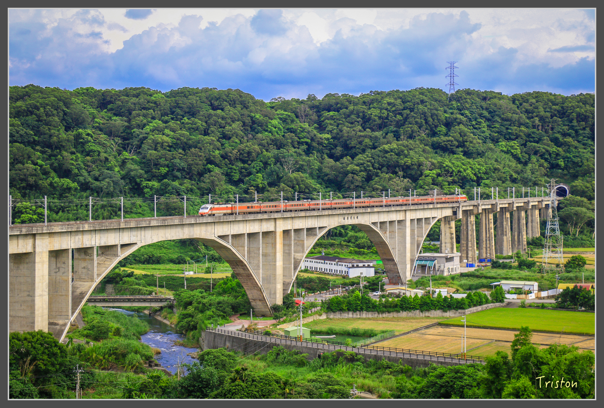 _MG_8961.jpg - 20160712 苗栗薰衣草森林