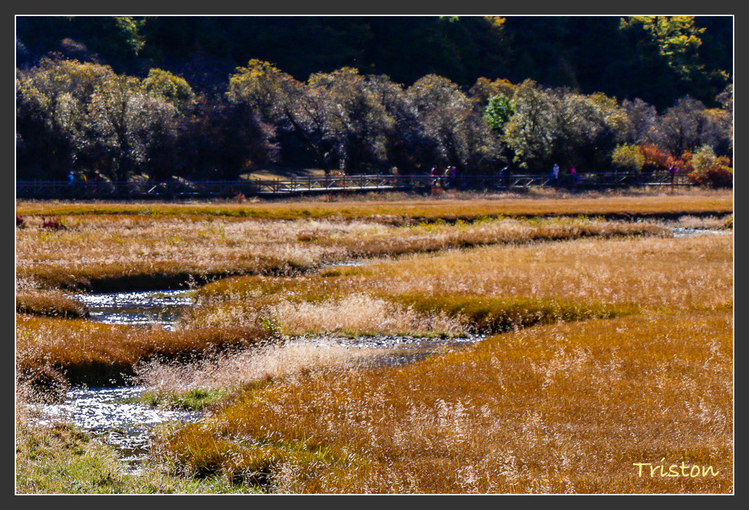 _MG_1948.jpg - 20161013 稻城亞丁