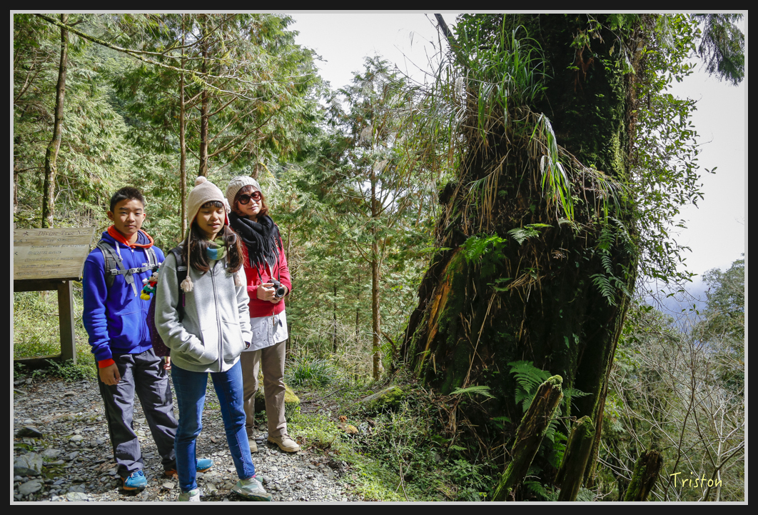 0099.jpg - 20161231 明池 神木園