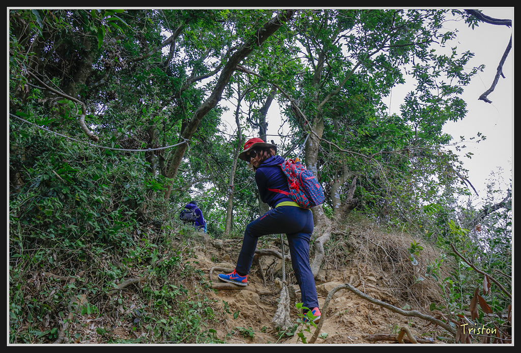 _MG_0613.jpg - 20170114 旗尾山