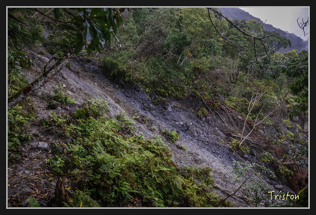 2017-02-27 10.03.53 下午 _MG_0505.jpg - 20170225 玉里瓦拉米