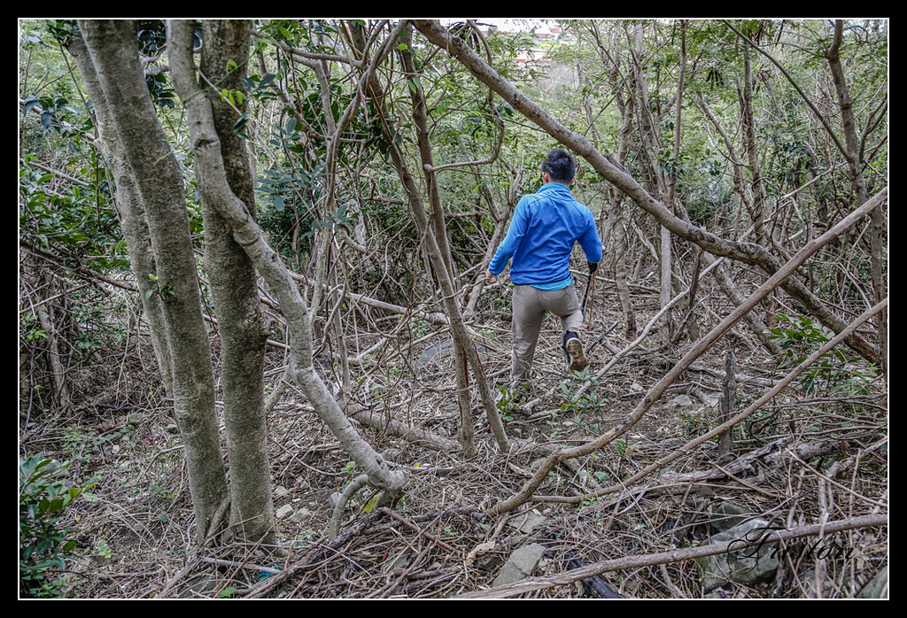 _H1A3275.jpg - 20170401 墾丁