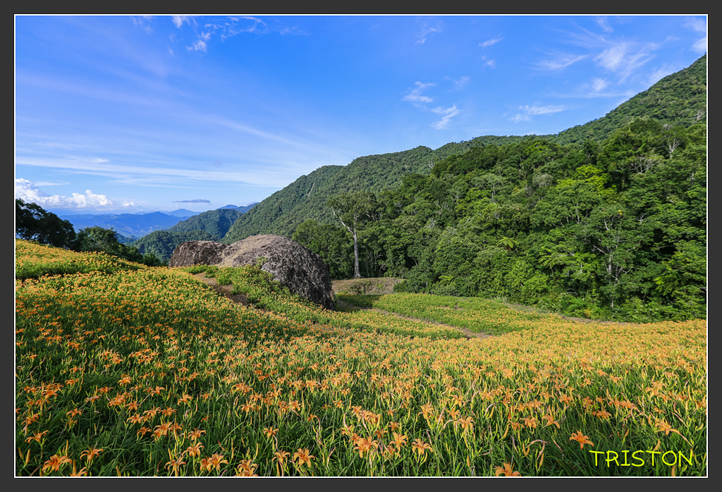 _H1A6618.jpg - 20170901 戀戀台九線