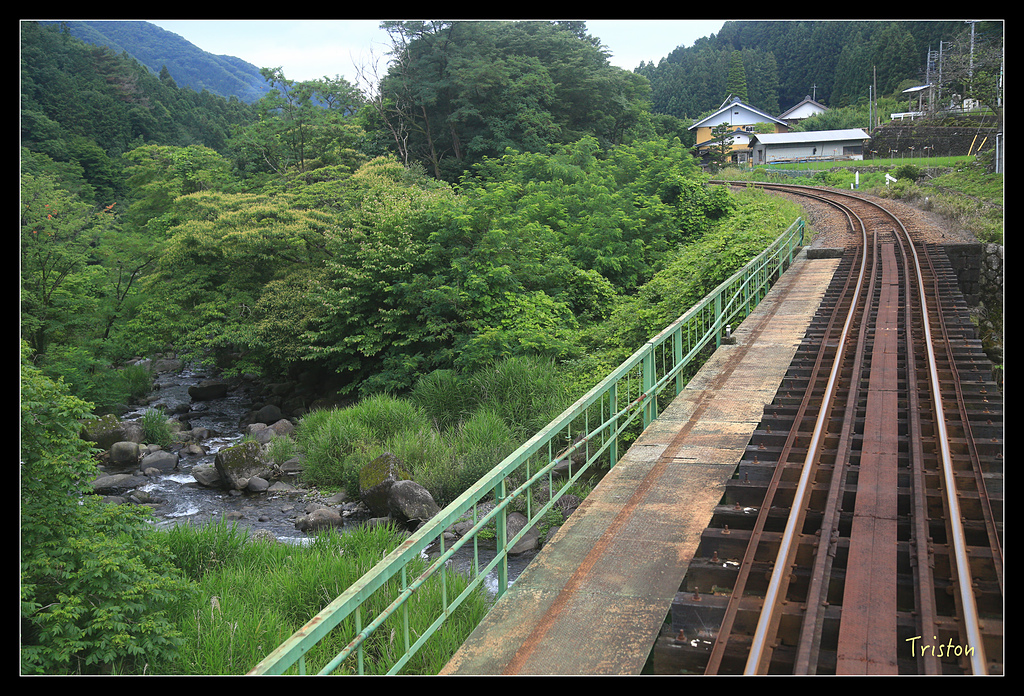 JH1A9779.jpg - 20150628 東京輕井澤日光