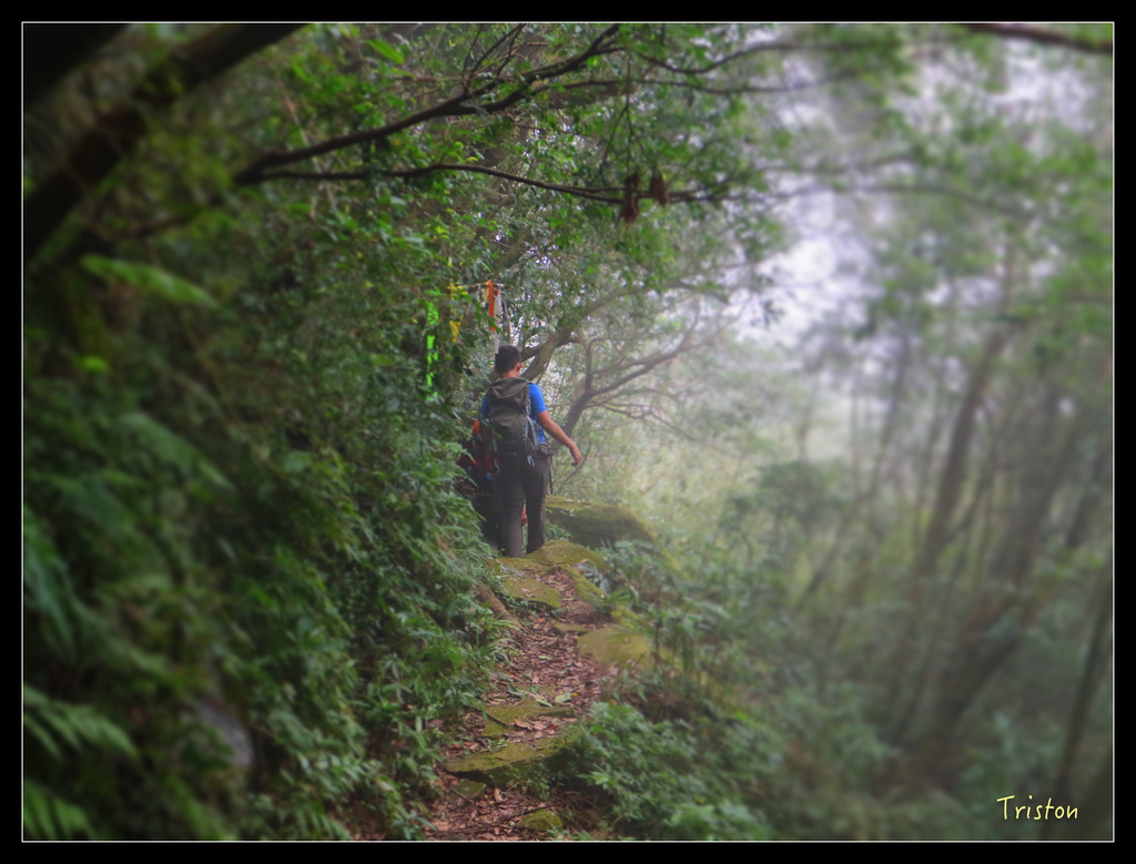 IMG_0593.jpg - 20151107 富士坪古道