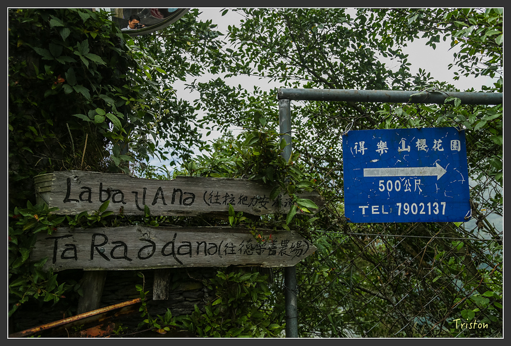 JH1A8216.jpg - 20160111 吉露、阿禮部落