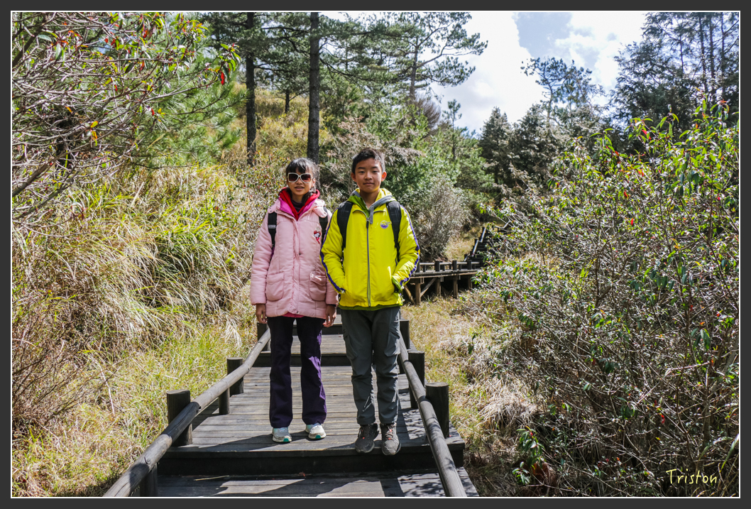 IMG_3358.jpg - 20160227 觀霧森林步道