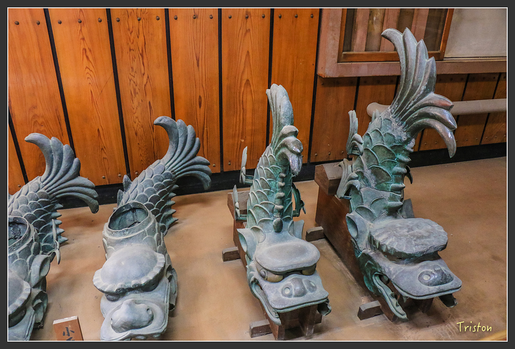 IMG_6006.jpg - 20160323 日本熊野古道健行