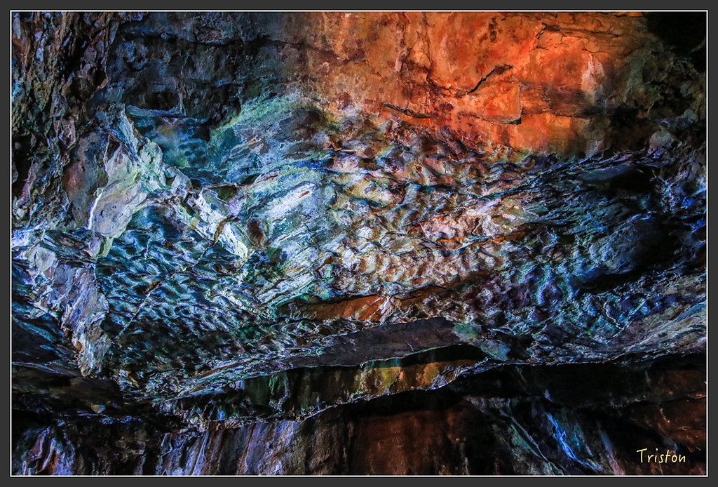 IMG_5943.jpg - 20160323 日本熊野古道健行