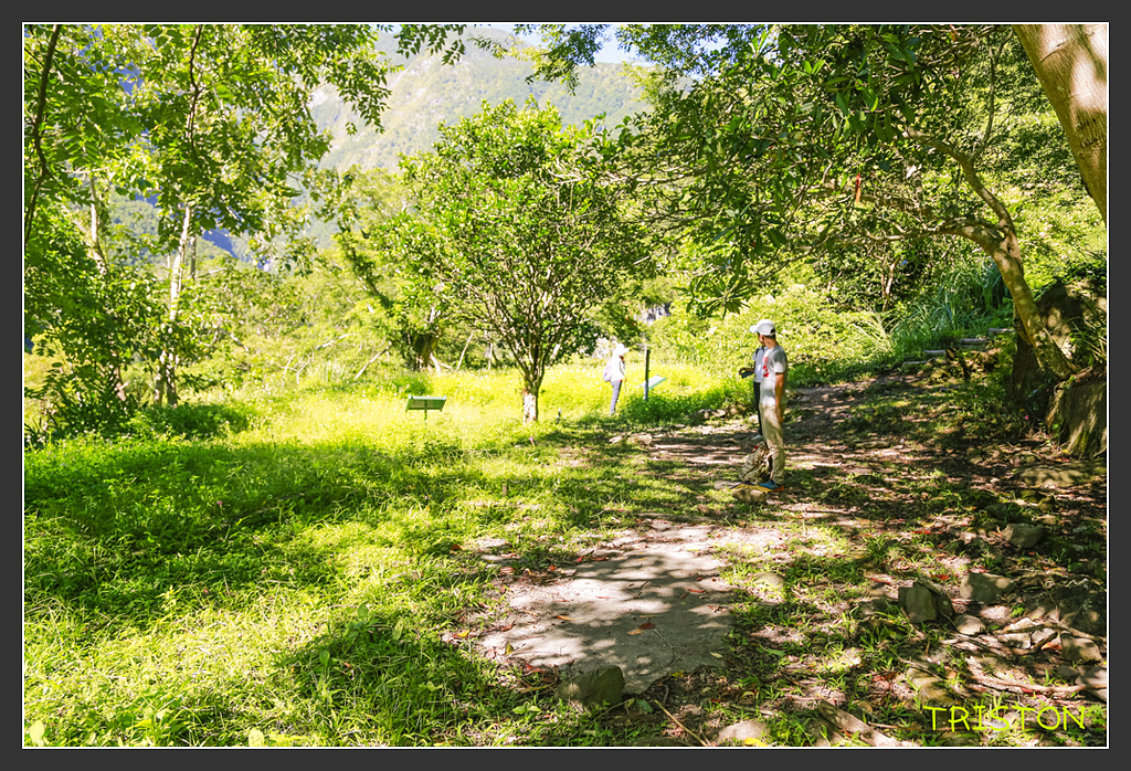 _H1A6314.jpg - 20170901 戀戀台九線