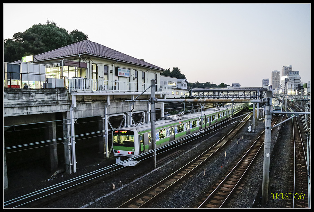 _H1A1510.jpg - 20171103 日本只見線、會津若松五色沼、昭和記念公園賞紅葉