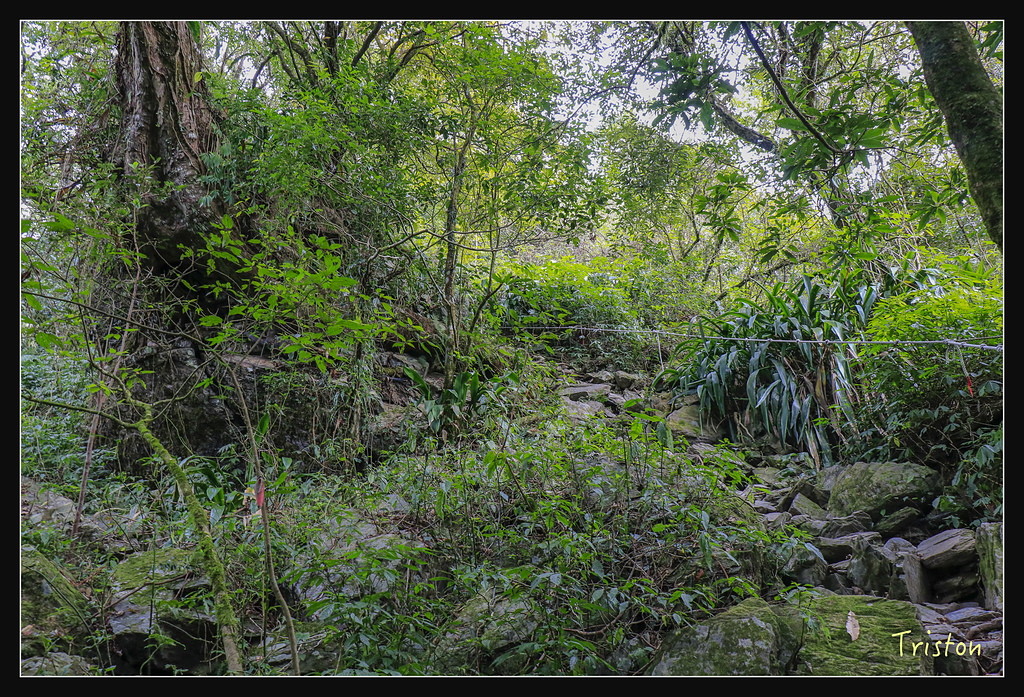 _MG_1043.jpg - 20180127 日湯真山