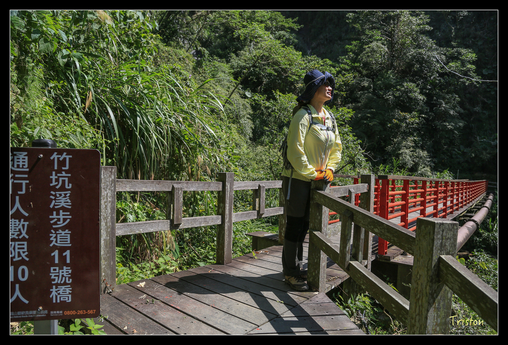 JH1A9837.jpg - 20151005 竹坑溪步道