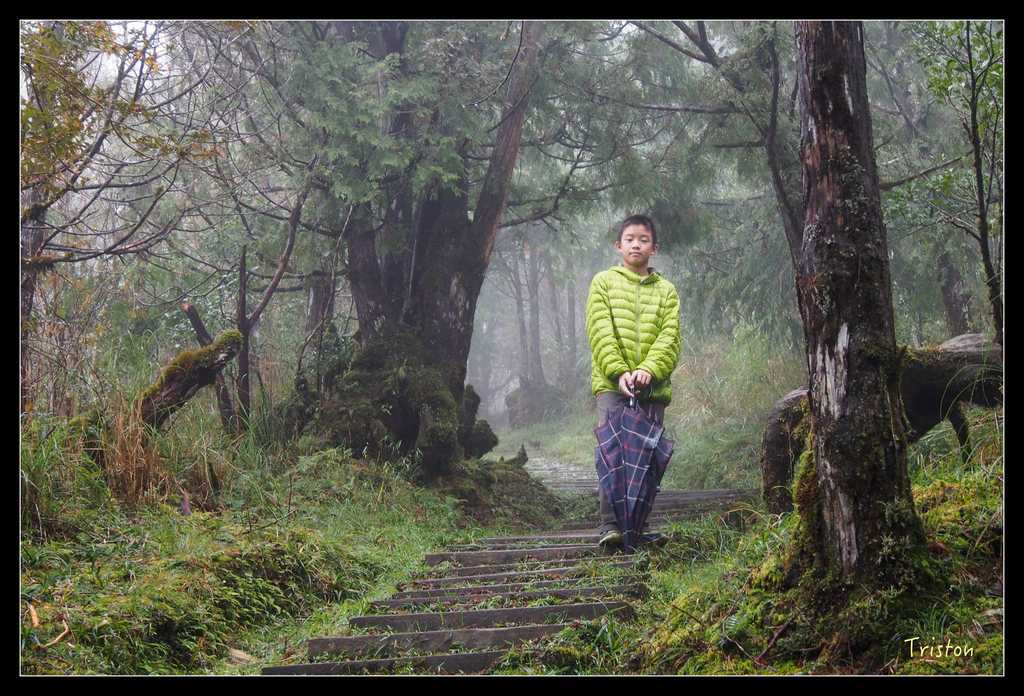 PA240153.jpg - 20151024~25 幾米公園、翠峰湖、翠峰山屋、望洋山步道、山毛櫸步道