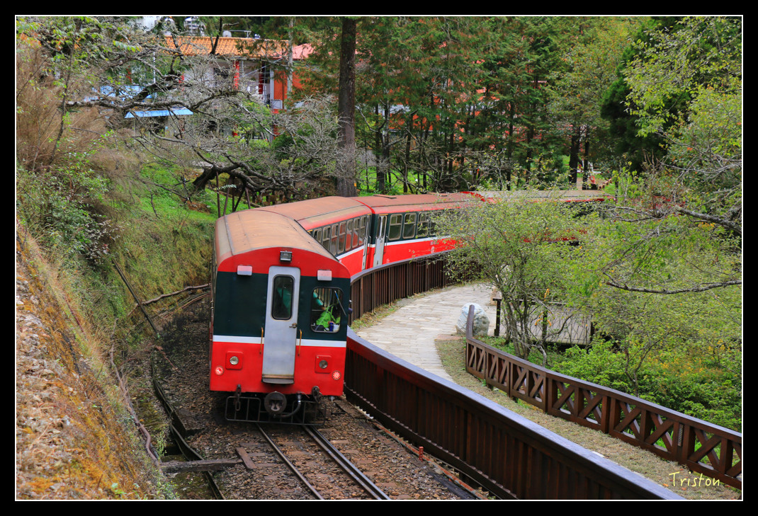 IMG_9429.jpg - 20151130 小笠原山、對高岳