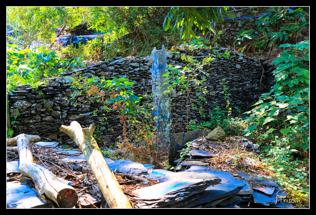 IMG_9508.jpg - 20151202 老七佳部落