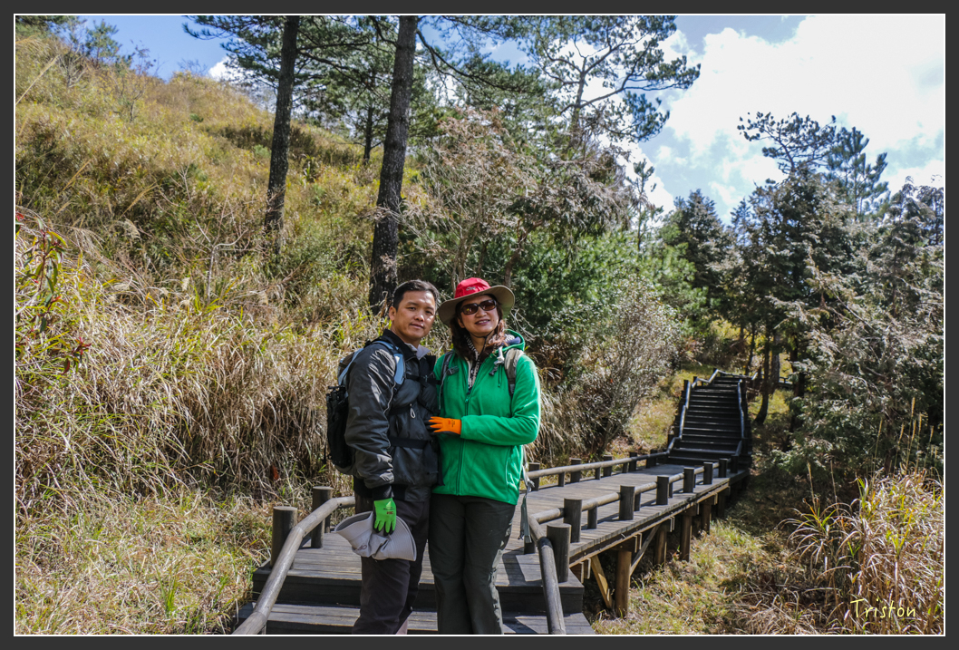 IMG_3359.jpg - 20160227 觀霧森林步道