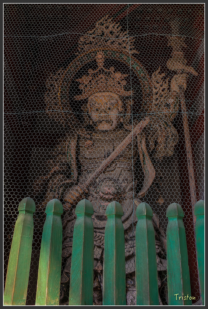 IMG_4412.jpg - 20160323 日本熊野古道健行