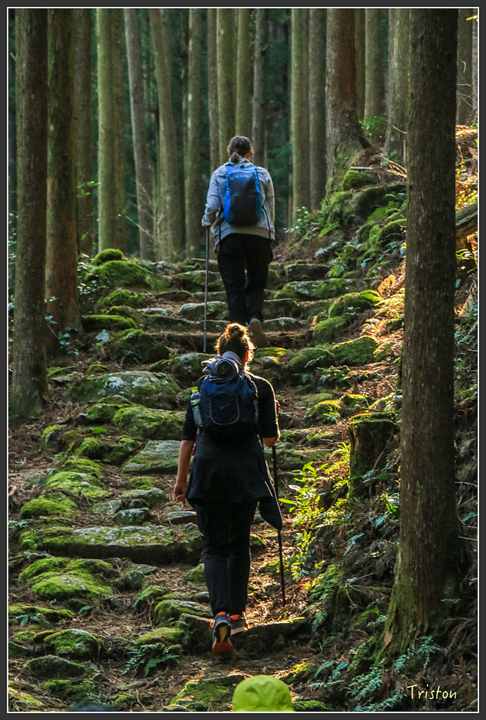 IMG_5386.jpg - 20160323 日本熊野古道健行