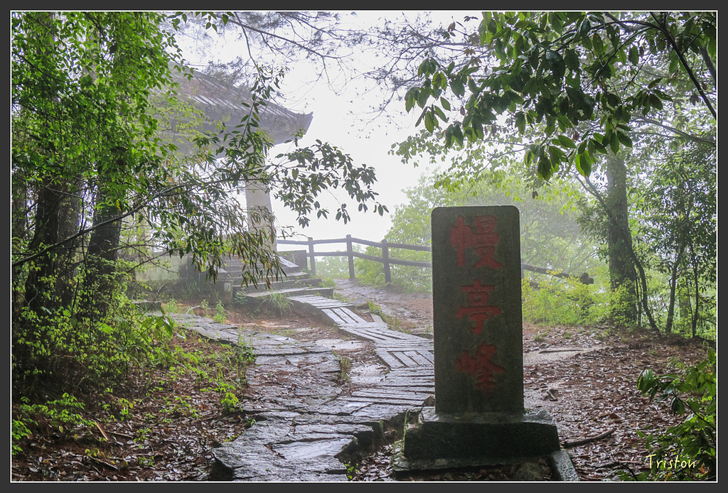 IMG_6410.jpg - 20160409 武夷山之旅