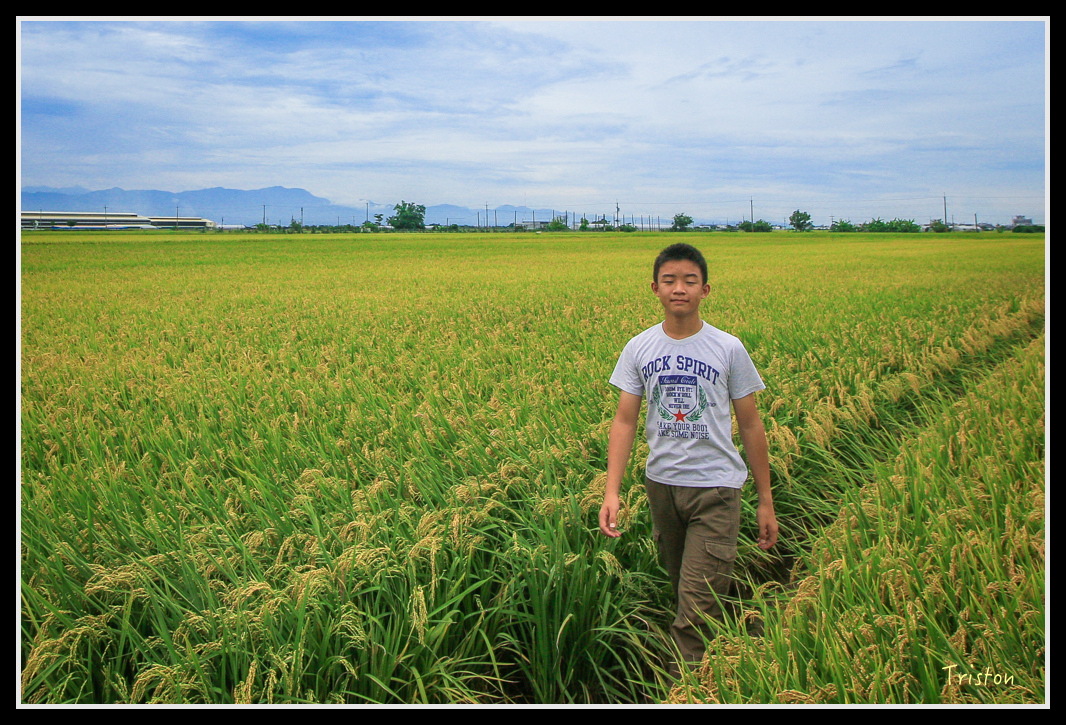 IMG_7506.jpg - 20160609 嘉義一日小旅行