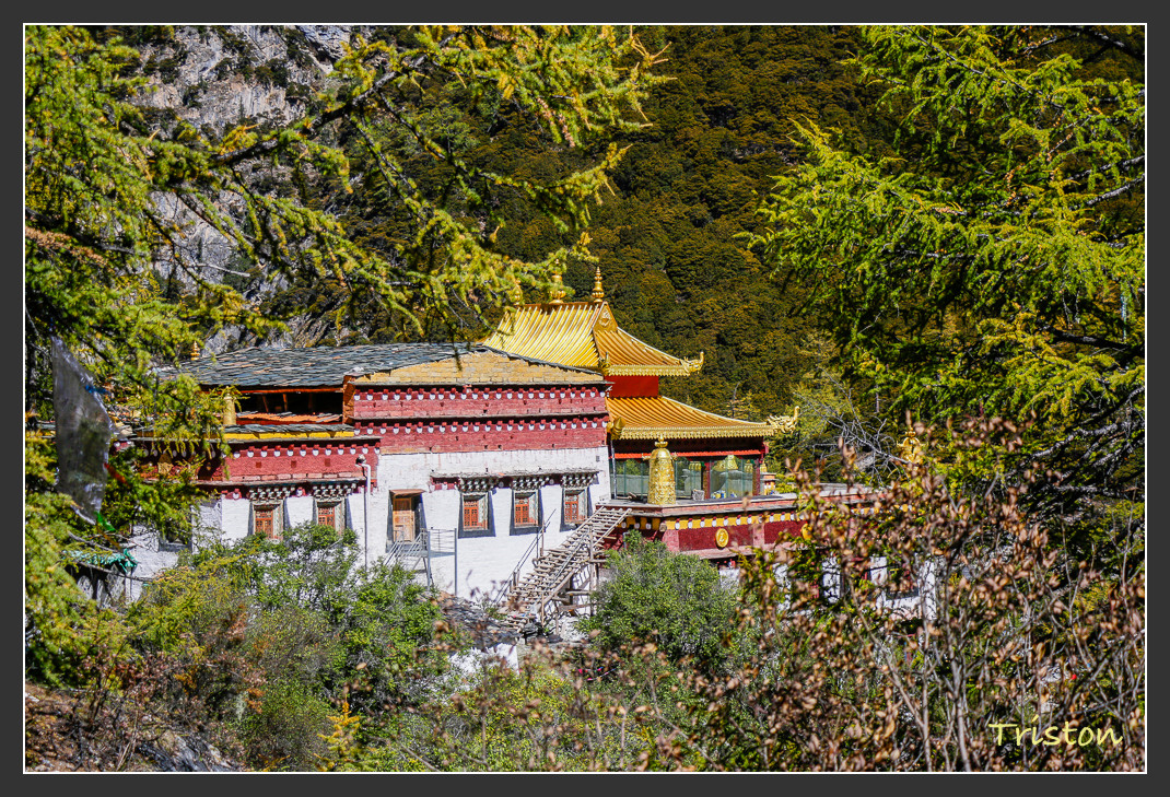 _MG_2179.jpg - 20161013 稻城亞丁