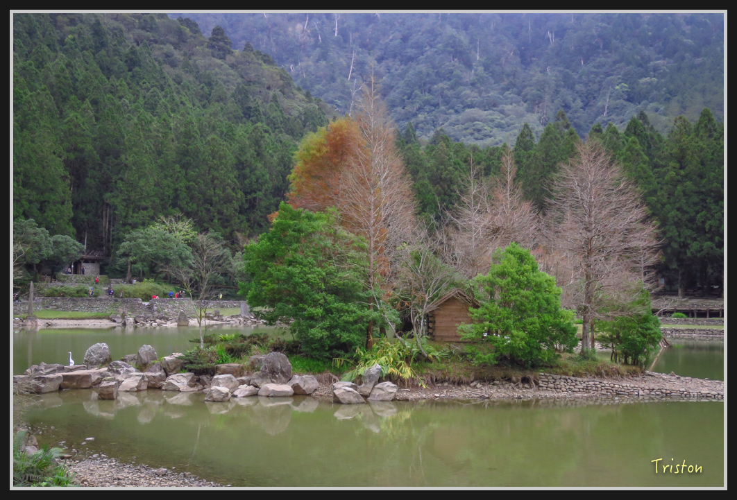 0033.jpg - 20161231 明池 神木園