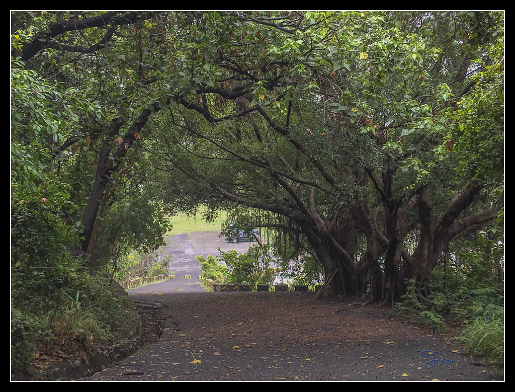 IMG_2789.jpg - 20170422 左營龜山步道、舊城
