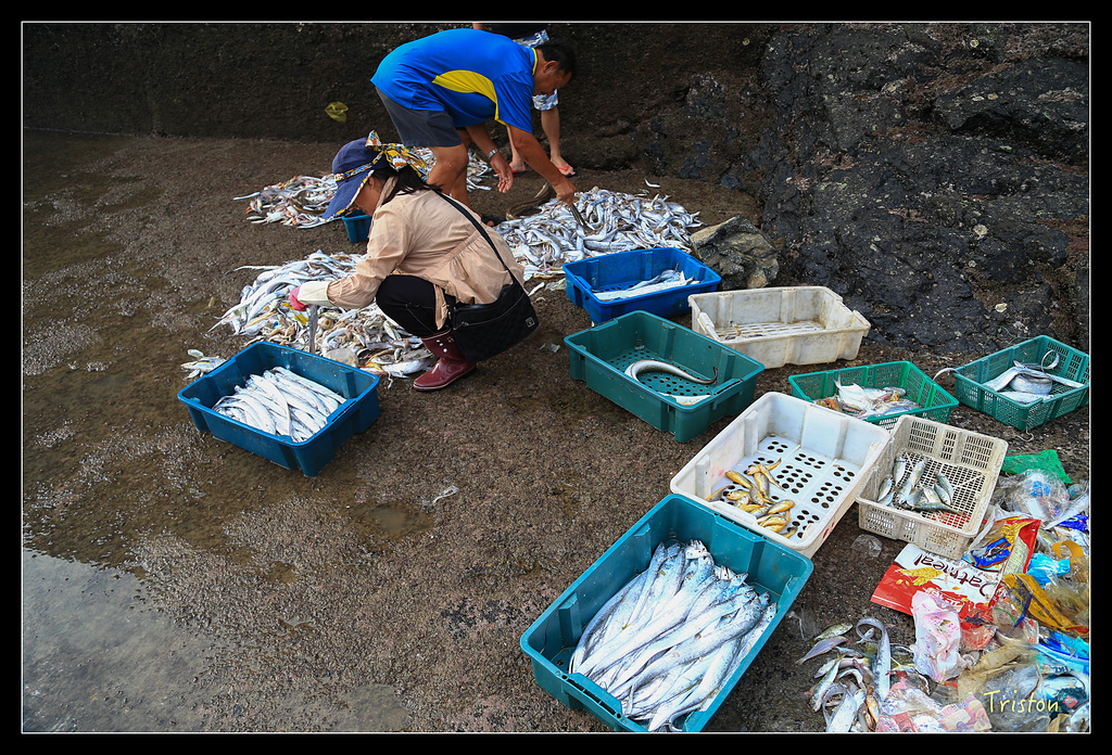 JH1A8920.jpg - 20150814 馬祖之旅