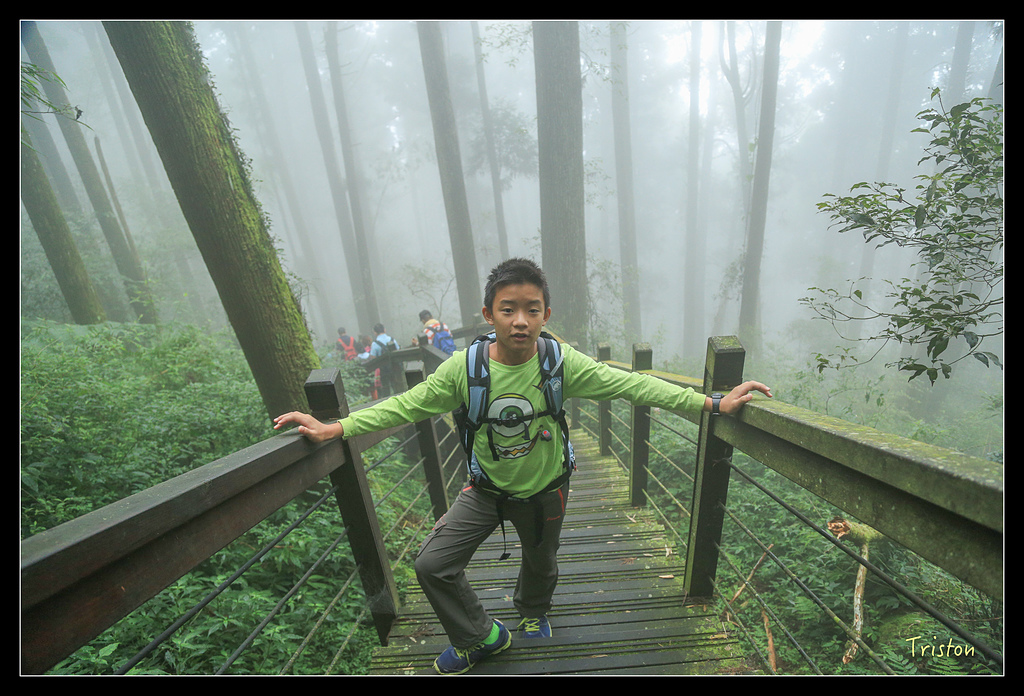 JH1A9781.jpg - 20150920 石棹,霧之道 茶之道 雲之道