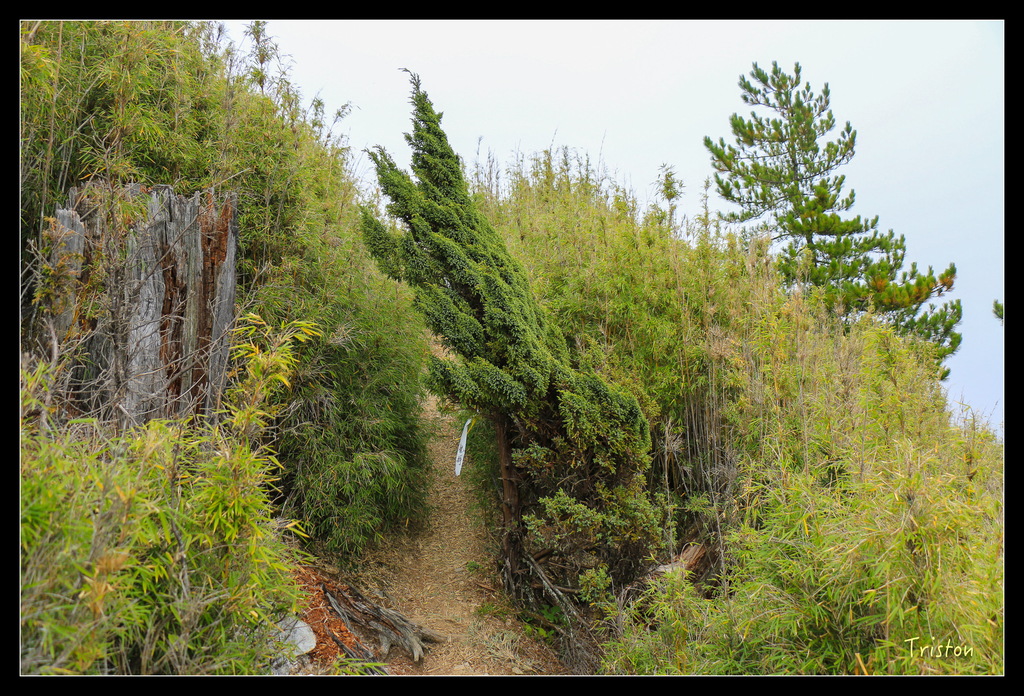 IMG_8749.jpg - 20151017 郡大林道、望鄉山、郡大山