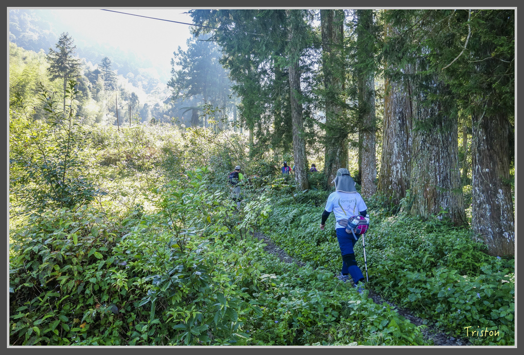 DSC00756.jpg - 20160924 溪頭台寅山