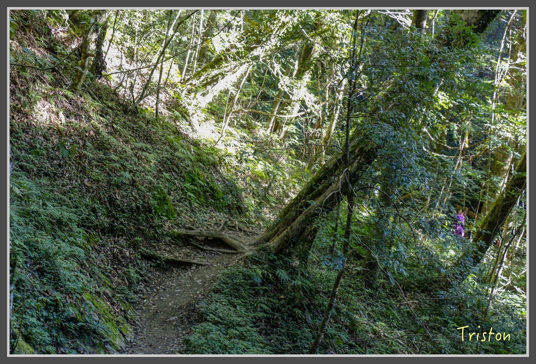 _MG_0103.jpg - 20161203 鎮西堡