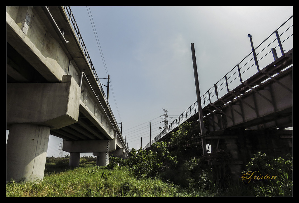 IMG_0010.jpg - 20170327 二層行溪鐵橋+環頸雉