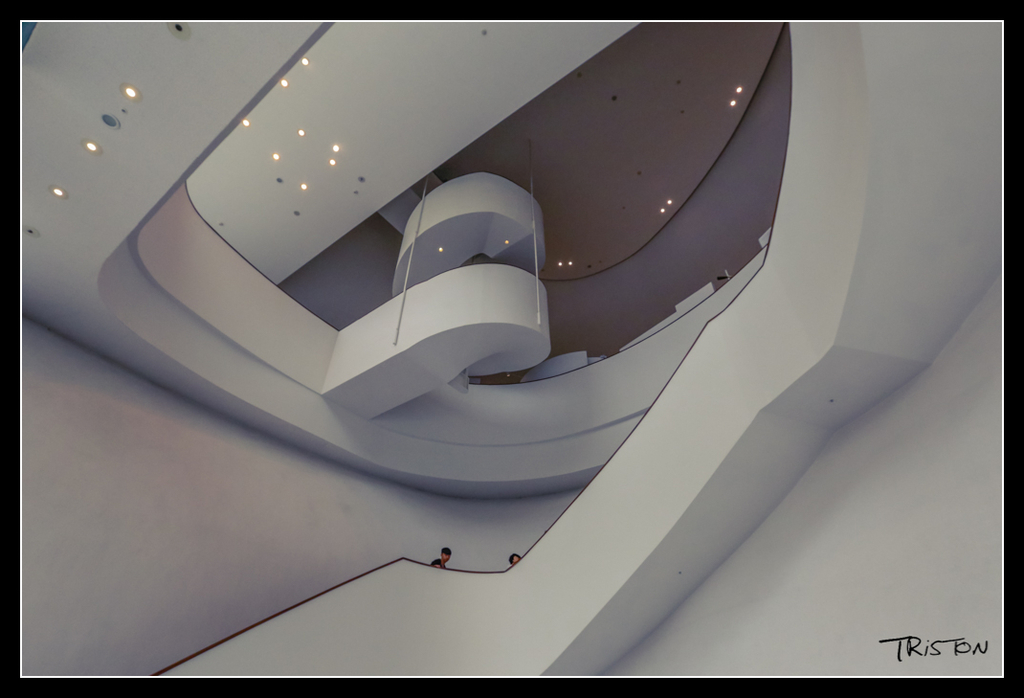 _H1A4294.jpg - 20170520 台中輕旅行-審記新村、忠信市場、國家歌劇院