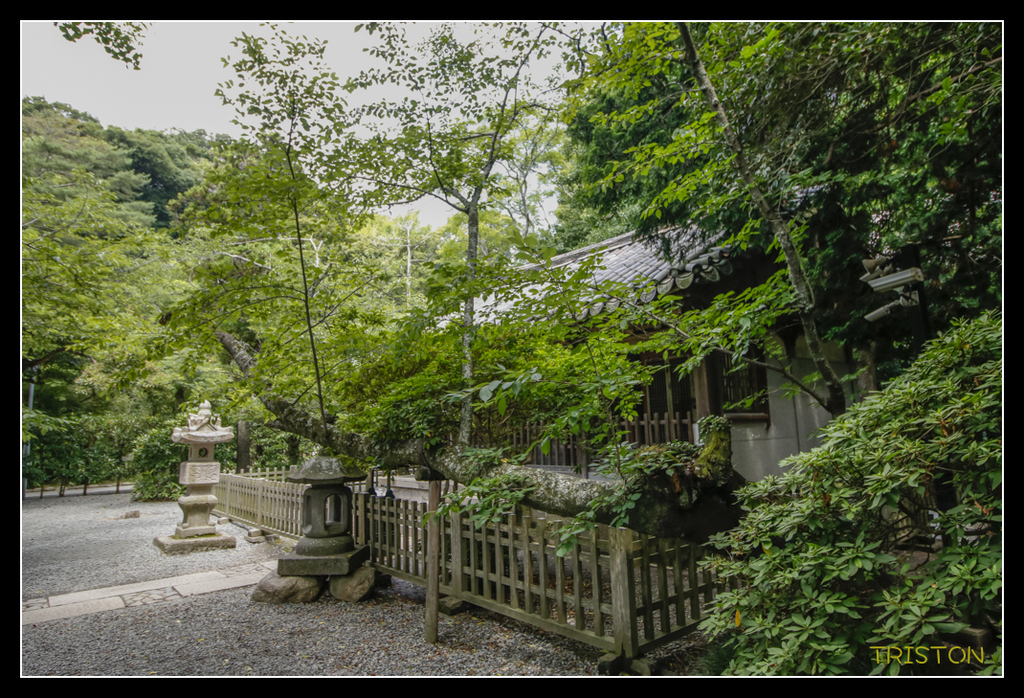 _MG_1431.jpg - 20170702 靜岡東海道之旅