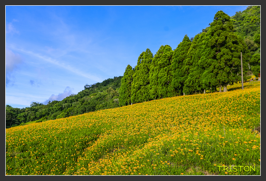 _H1A6630.jpg - 20170901 戀戀台九線