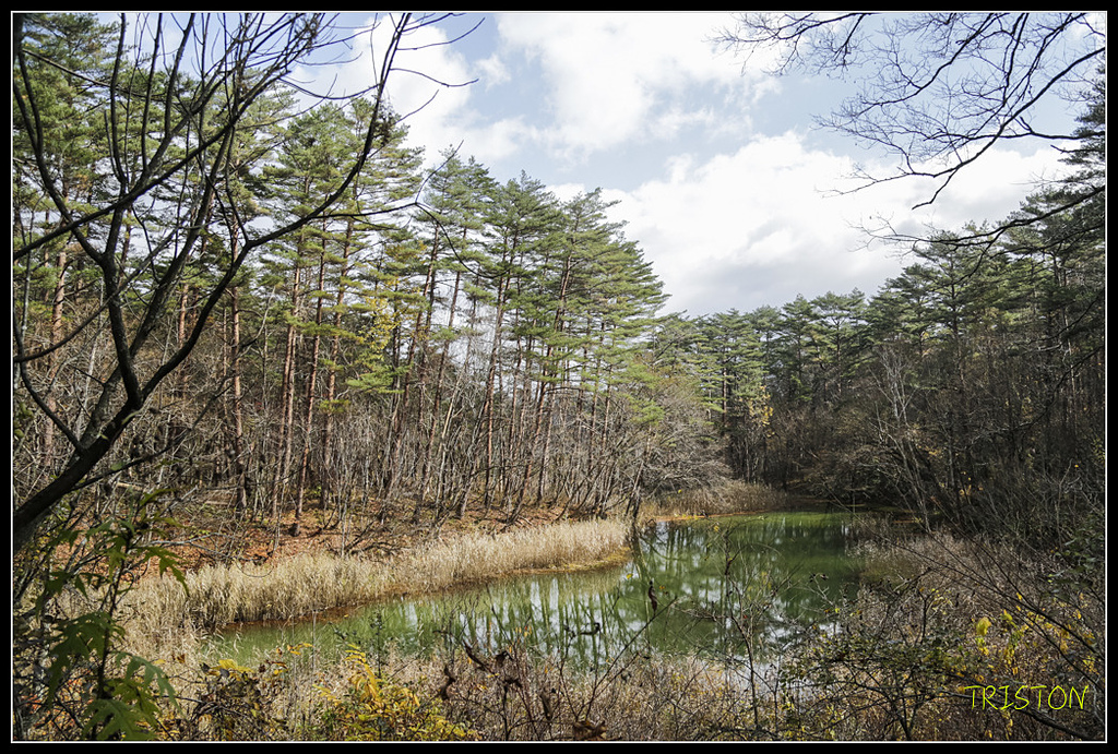 _H1A1226.jpg - 20171103 日本只見線、會津若松五色沼、昭和記念公園賞紅葉