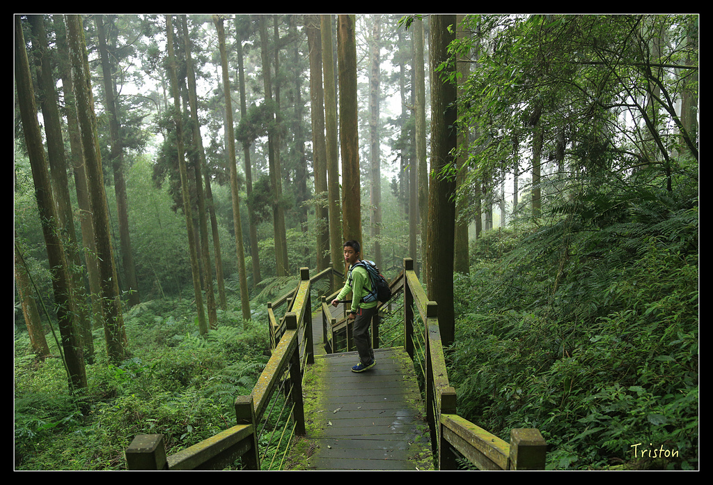 JH1A9792.jpg - 20150920 石棹,霧之道 茶之道 雲之道