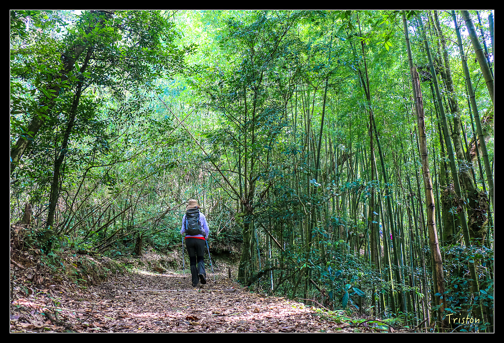 IMG_8340.jpg - 20150926 大凍山切霹靂山 抵龍雲山莊