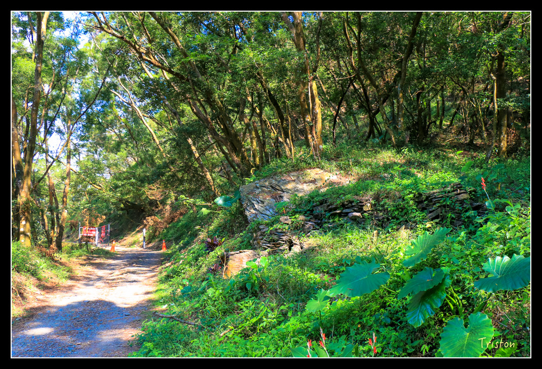 IMG_9481.jpg - 20151202 老七佳部落