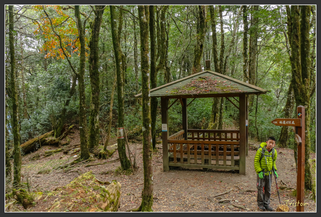 IMG_1143.jpg - 20151219 鳶嘴稍來山、小雪山林道