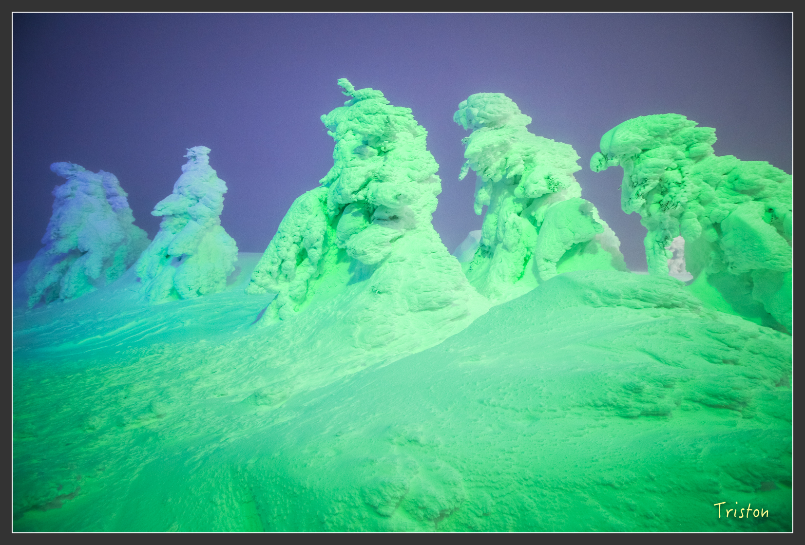 2016ZAO-00913.jpg - 20160131 日本藏王溫泉滑雪親子行