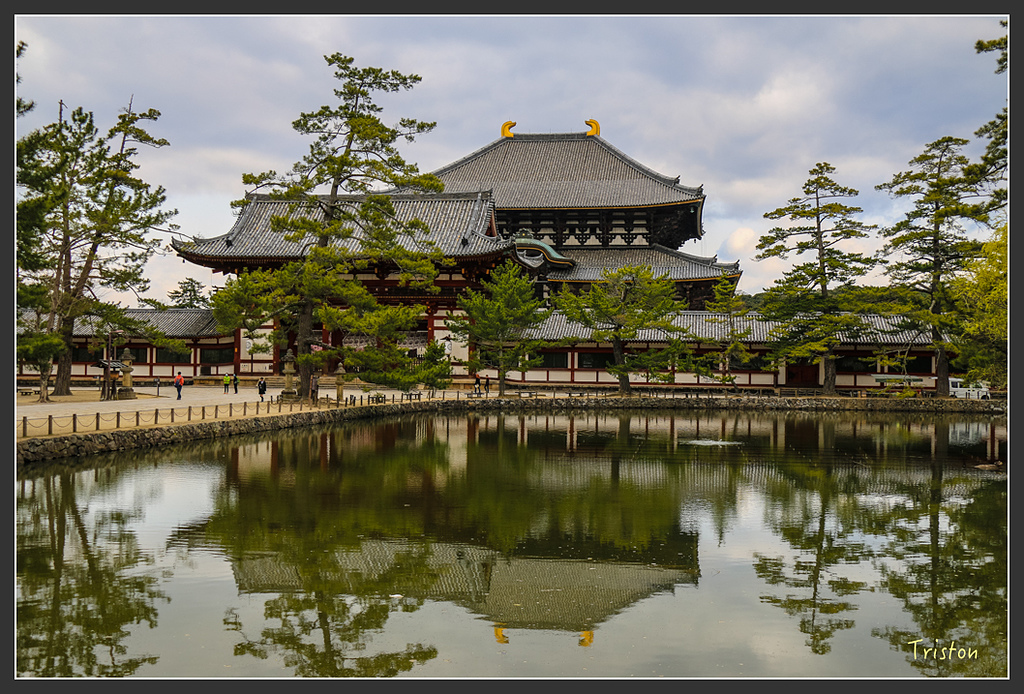 IMG_4331.jpg - 20160323 日本熊野古道健行