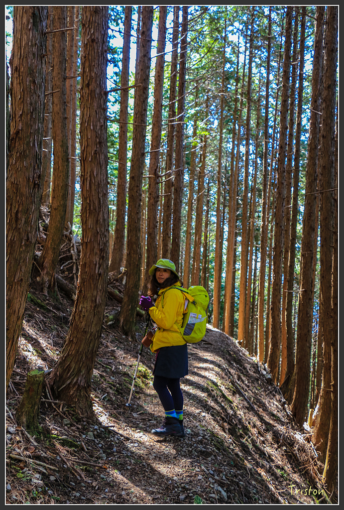 IMG_4744.jpg - 20160323 日本熊野古道健行