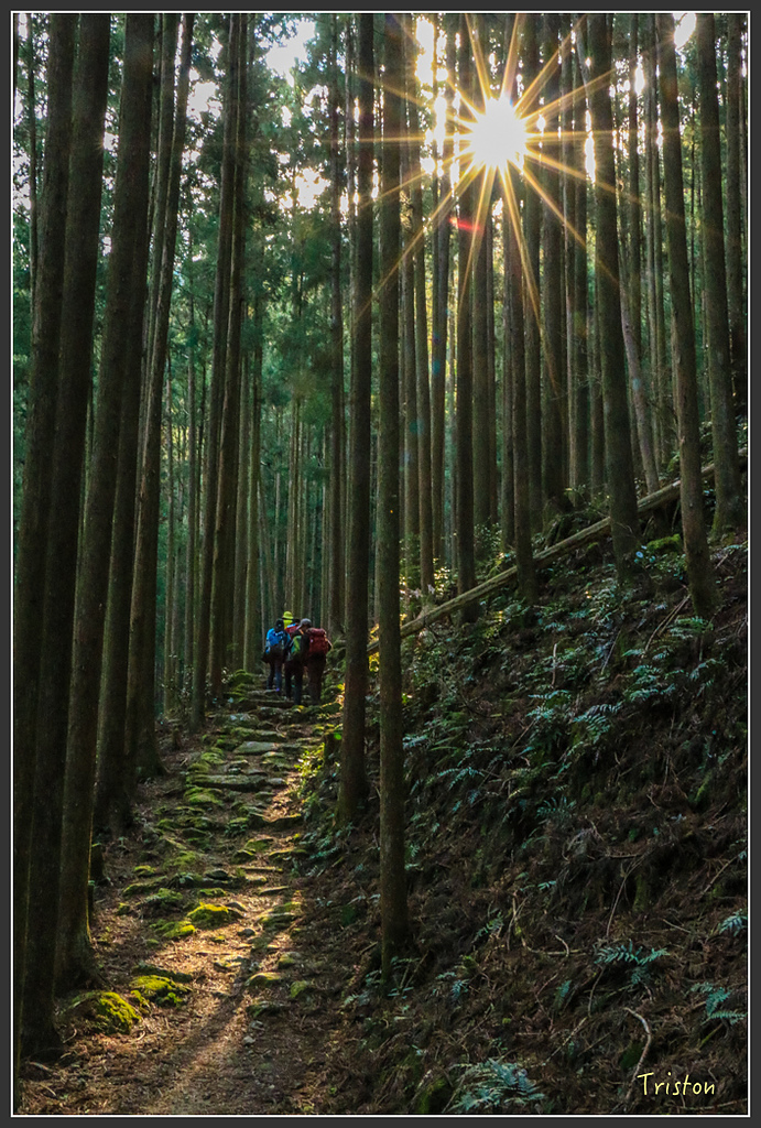 IMG_5388.jpg - 20160323 日本熊野古道健行