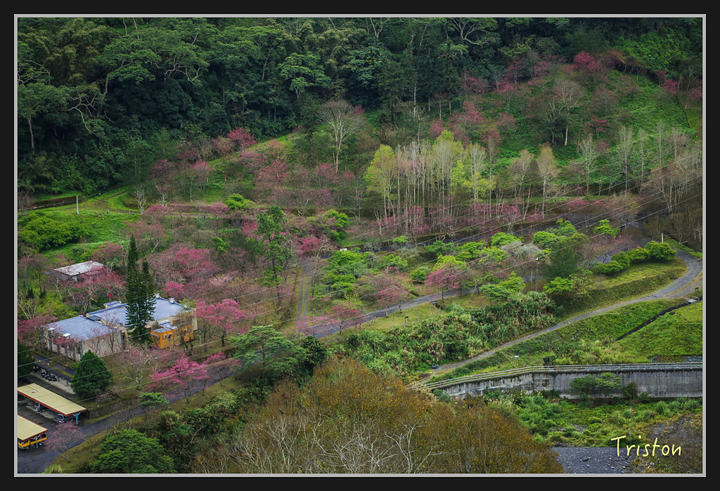 _H1A2117.jpg - 20170212 武界 萬大電廠 奧萬大
